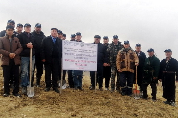 Plant a tree - save the forest: FAO creates forest plantations in Kashkadarya region Plant a tree - save the forest: FAO creates forest plantations in Kashkadarya region