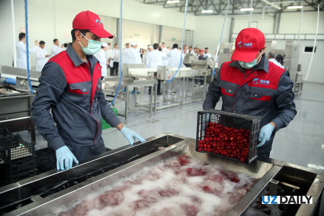 «BMB AGRO PLUS»: новый этап в развитии глубокой переработки сельскохозяйственной продукции