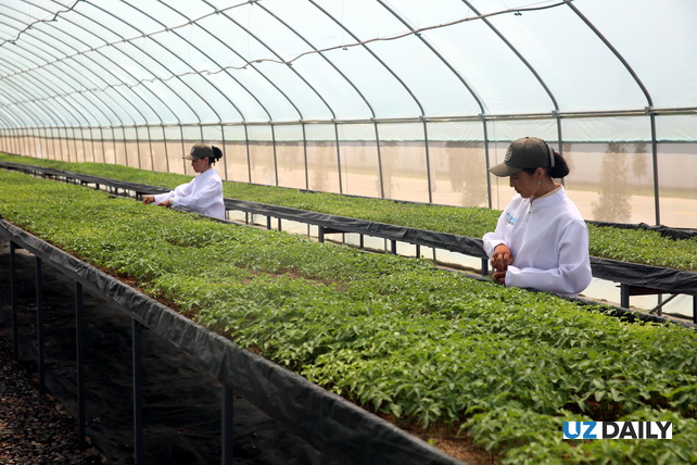 «BMB AGRO PLUS»: новый этап в развитии глубокой переработки сельскохозяйственной продукции