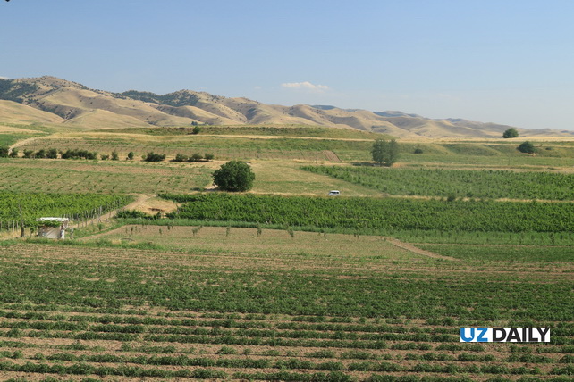 MSA Resort: A New Growth Point for Tourism in Tashkent Region
