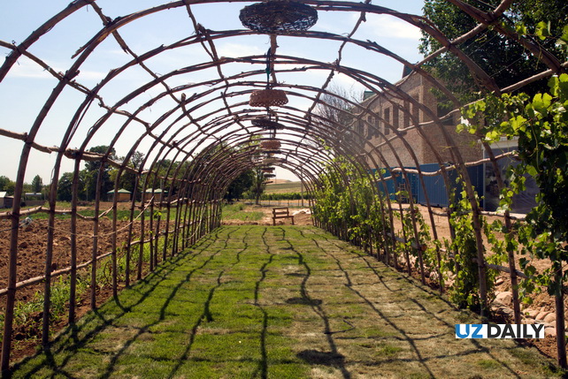 MSA Resort: A New Growth Point for Tourism in Tashkent Region