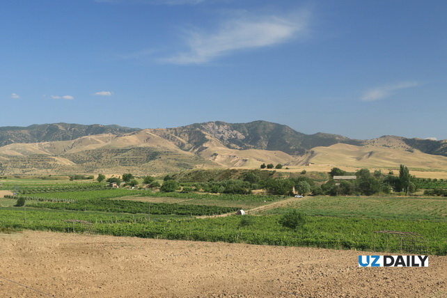 MSA Resort: A New Growth Point for Tourism in Tashkent Region