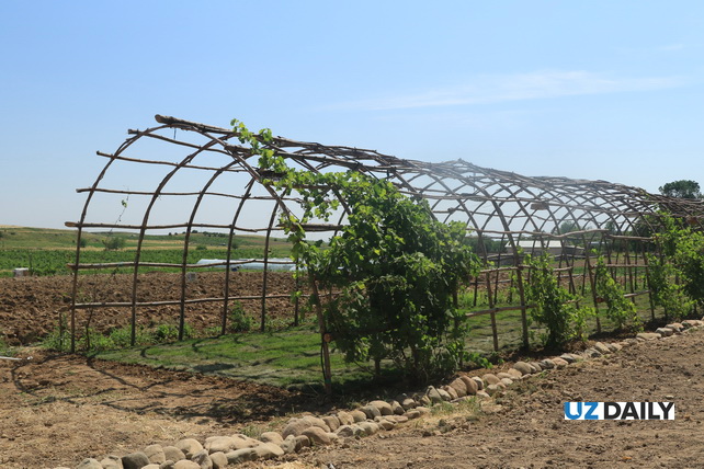 MSA Resort: A New Growth Point for Tourism in Tashkent Region