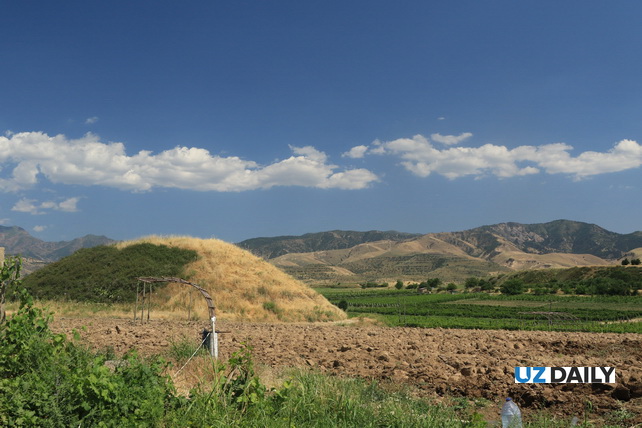 MSA Resort: A New Growth Point for Tourism in Tashkent Region