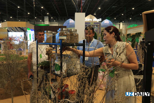 В Ташкенте стартовала международная выставка экологических технологий Eco Expo Central Asia 2025