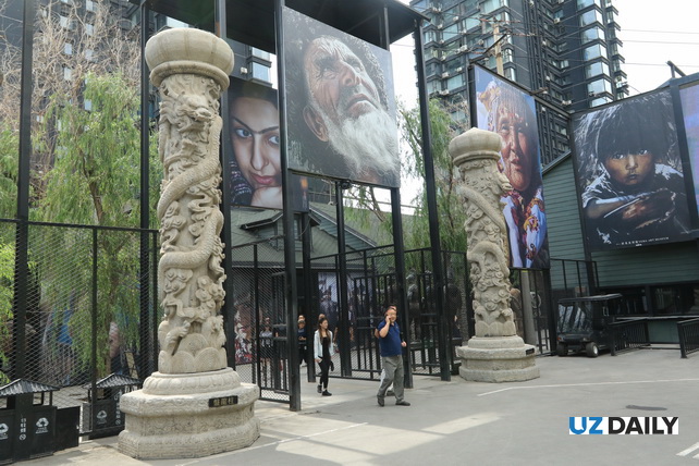 Akhal-Teke Horses, Petrified Forests, and Silk Road Heritage: The Essence of Xinjiang in One Park
