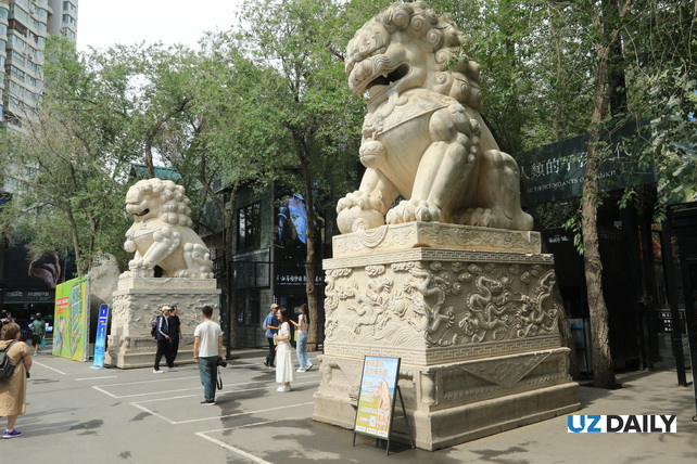Akhal-Teke Horses, Petrified Forests, and Silk Road Heritage: The Essence of Xinjiang in One Park
