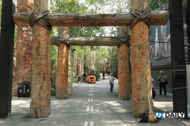 Akhal-Teke Horses, Petrified Forests, and Silk Road Heritage: The Essence of Xinjiang in One Park