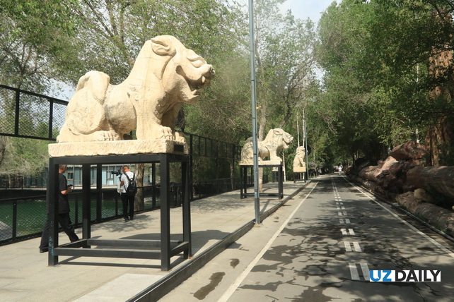 Akhal-Teke Horses, Petrified Forests, and Silk Road Heritage: The Essence of Xinjiang in One Park