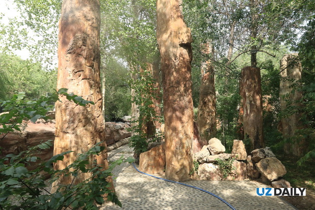 Akhal-Teke Horses, Petrified Forests, and Silk Road Heritage: The Essence of Xinjiang in One Park