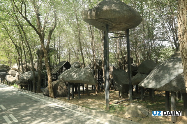 Akhal-Teke Horses, Petrified Forests, and Silk Road Heritage: The Essence of Xinjiang in One Park