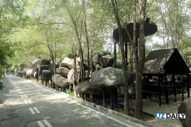 Akhal-Teke Horses, Petrified Forests, and Silk Road Heritage: The Essence of Xinjiang in One Park