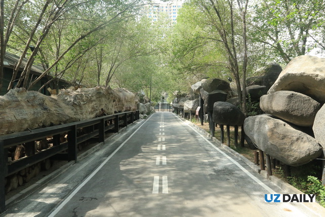 Akhal-Teke Horses, Petrified Forests, and Silk Road Heritage: The Essence of Xinjiang in One Park