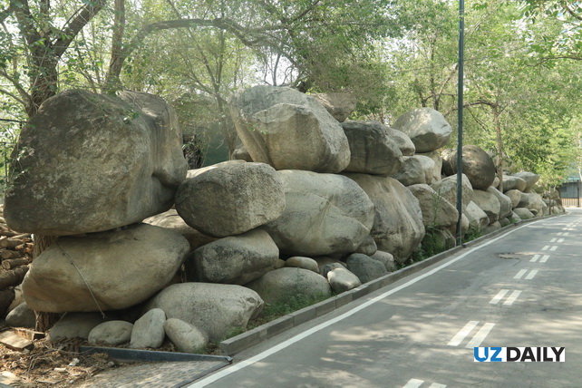 Akhal-Teke Horses, Petrified Forests, and Silk Road Heritage: The Essence of Xinjiang in One Park