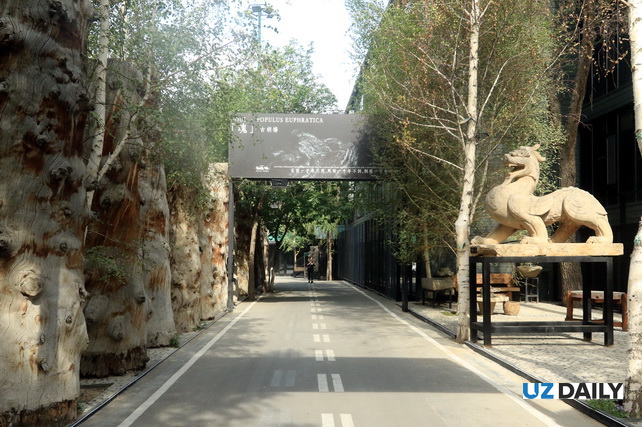 Akhal-Teke Horses, Petrified Forests, and Silk Road Heritage: The Essence of Xinjiang in One Park