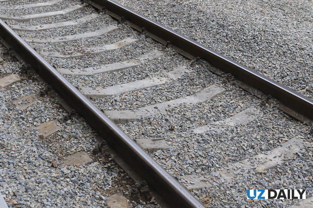 China-Europe freight trains through SCO demonstration zone increase by 24.5% in January